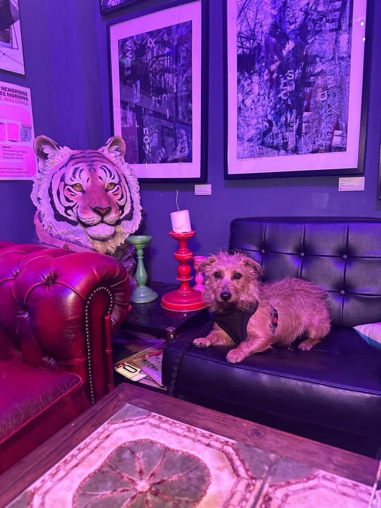 A vibrant and eclectic interior at The Loading Bay in North Shields, featuring colorful artwork, unique furniture pieces, and an inviting atmosphere perfect for enjoying Mediterranean-inspired meals. The image also featured a cute ginger dog with a black button nose