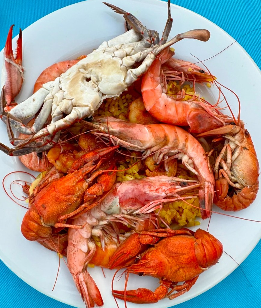 An array of dishes at TUI Blue Seno, including Turkish meze platters, fresh seafood, and vibrant international cuisine served in a scenic al fresco dining area.