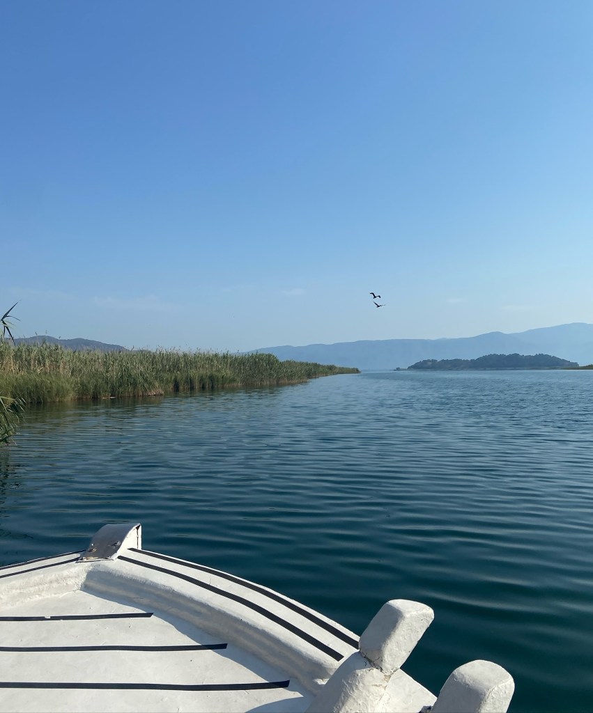 Boat cruising along the Dalyan River, passing rugged cliffs and spotting turtles near the Dalyan turtle hospital in Türkiye.