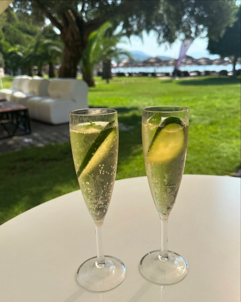A vibrant selection of drinks at TUI Blue Seno, including colorful cocktails, fresh juices, and chilled wines served in elegant glassware, set against a backdrop of Mediterranean greenery.