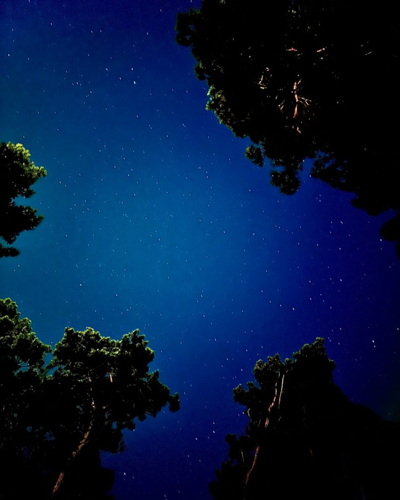 A breathtaking night sky over TUI Blue Seno, Türkiye, showcasing a canopy of shimmering stars, the gentle moonlight reflecting off the turquoise coast, and the tranquil silhouette of surrounding nature.