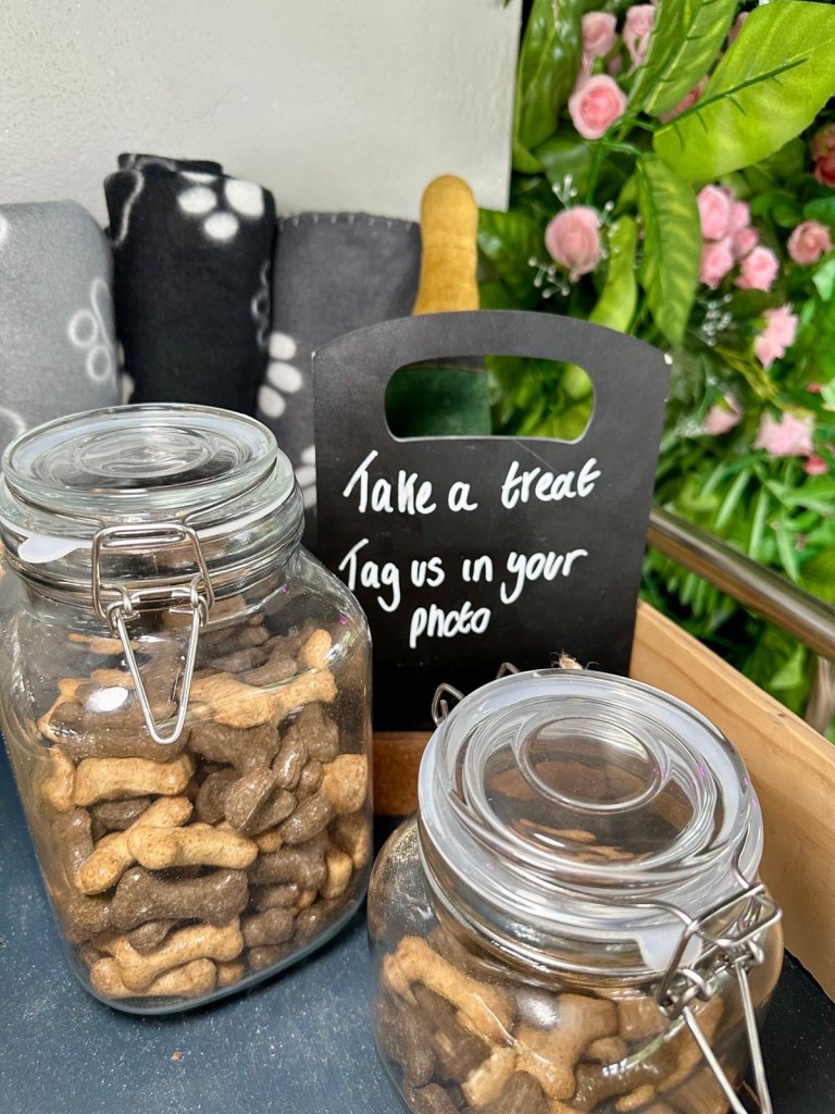 Dog-friendly station at River Bar Washington with treats, water bowls, and toys