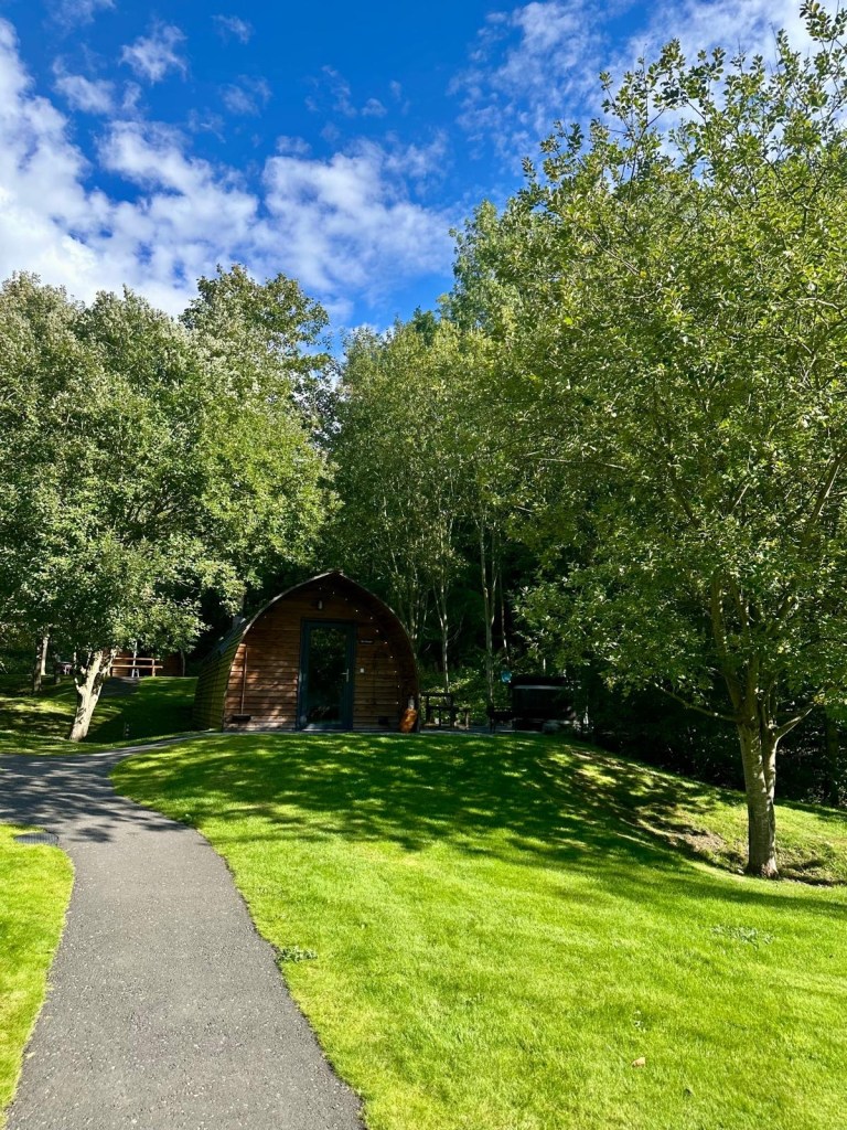 Hewn Yorkshire log cabin in woodland setting, The Foxwood.