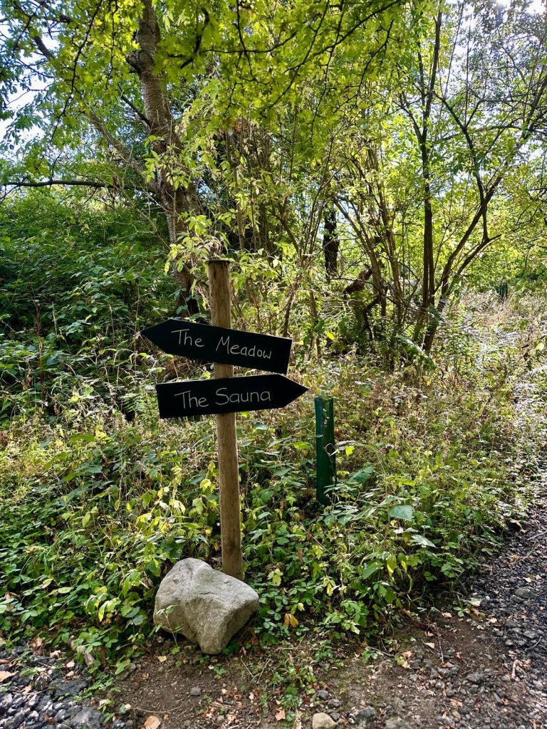 Woodland and meadow walks surrounding Hewn Yorkshire cabins.