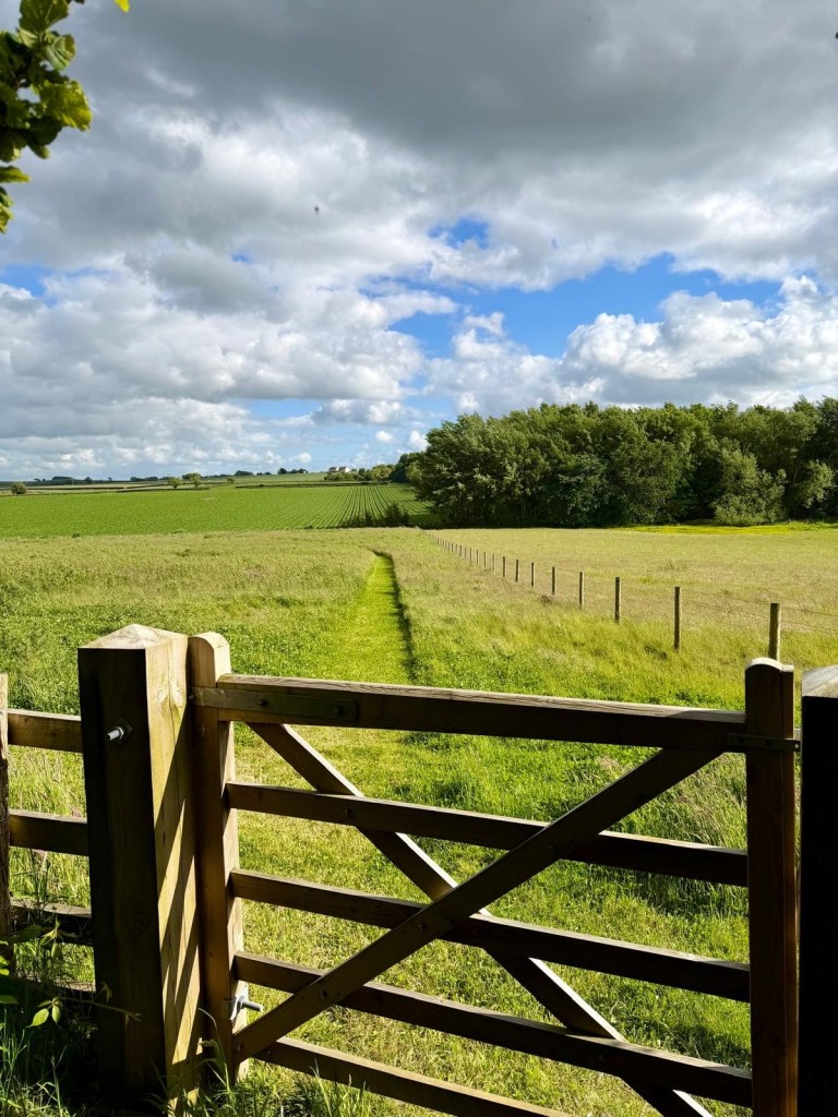 Wildflower meadow at Hewn Yorkshire surrounded by countryside